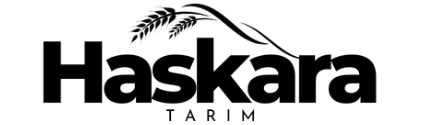 Haskara Tarım web yazılım projesi
