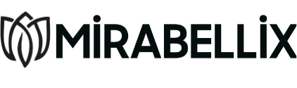 Mirabellix web tasarım projesi